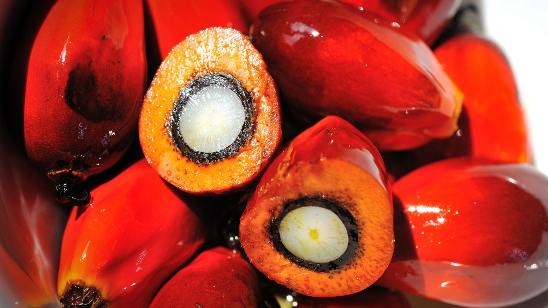 Alaf Palm Oil Mill products