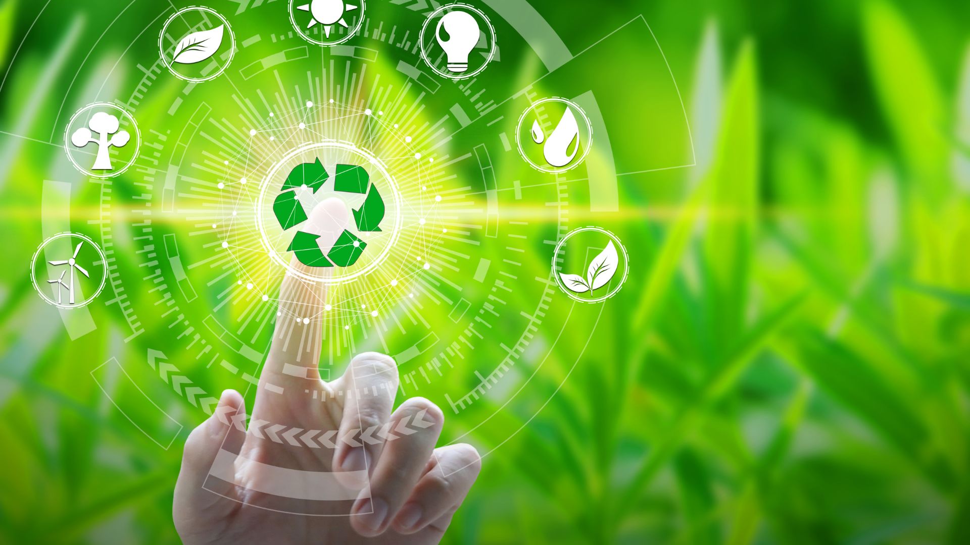 Environmental Policy