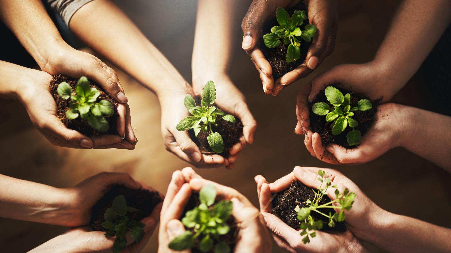 Sustainability Policies